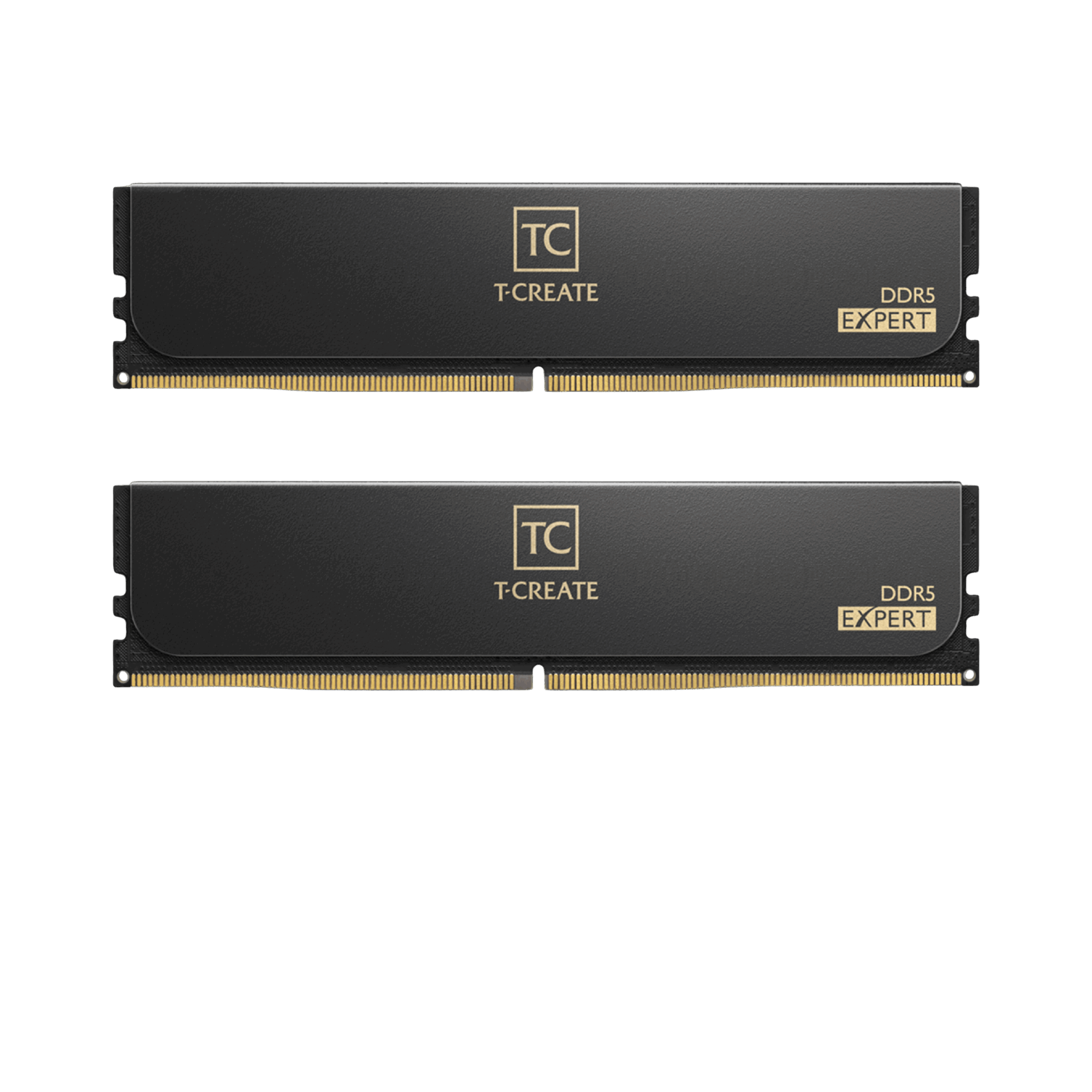 T-CREATE EXPERT 48GB (24X2) 6400MHz Desktop Memory